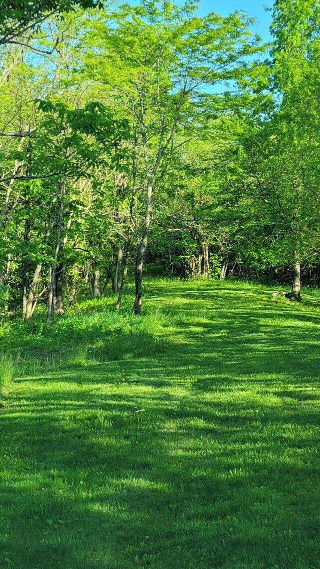 5433 Mary Ingles Hwy, Foster, KY 41043 - view of yard