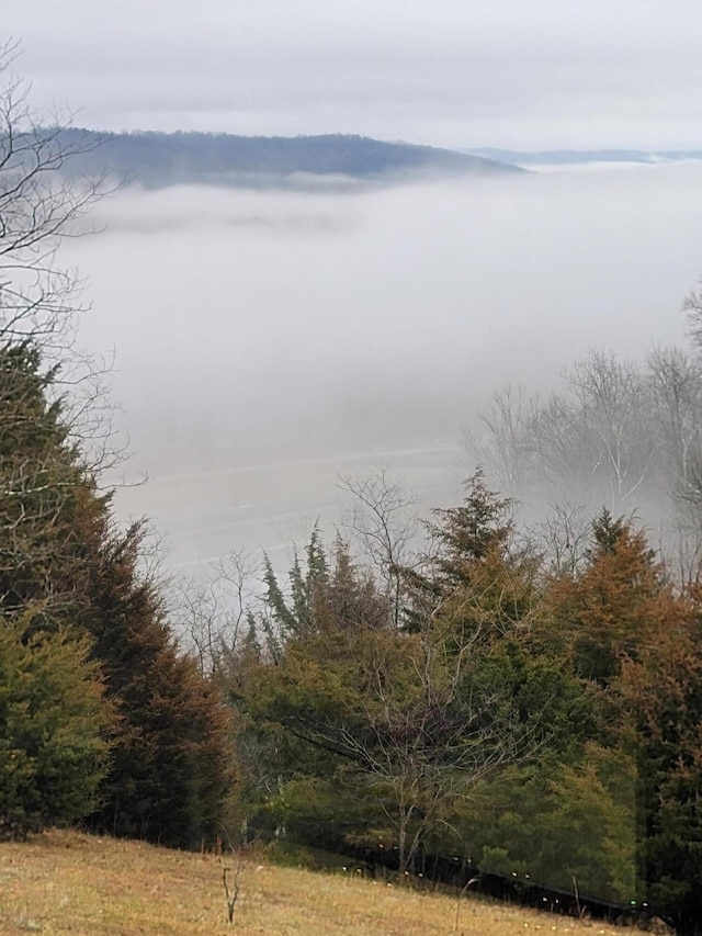5433 Mary Ingles Hwy, Foster, KY 41043 - water view