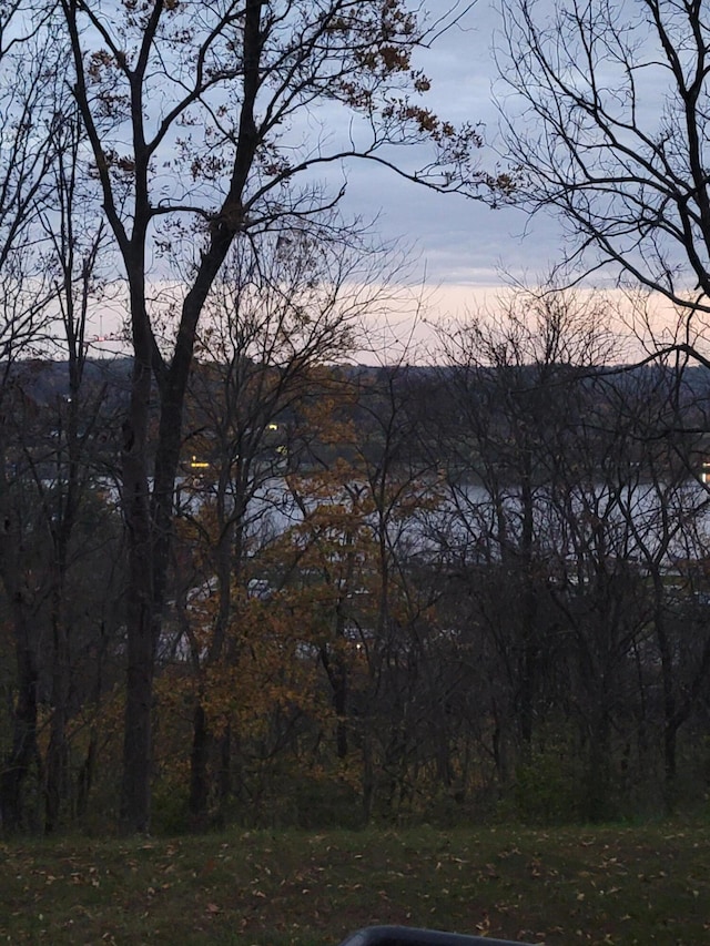 5433 Mary Ingles Hwy, Foster, KY 41043 - water view
