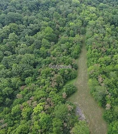 5433 Mary Ingles Hwy, Foster, KY 41043 - view of property location featuring a forest