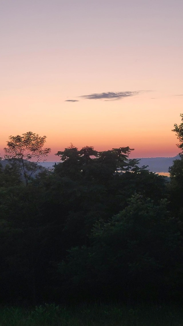 5433 Mary Ingles Hwy, Foster, KY 41043 - view of undeveloped land