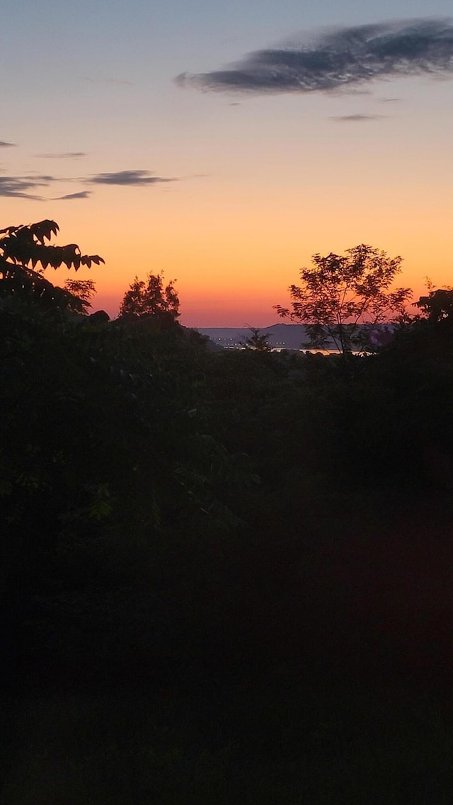 5433 Mary Ingles Hwy, Foster, KY 41043 - view of nature at dusk