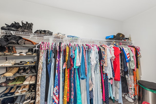 view of spacious closet