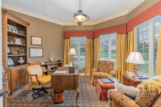 carpeted office with crown molding