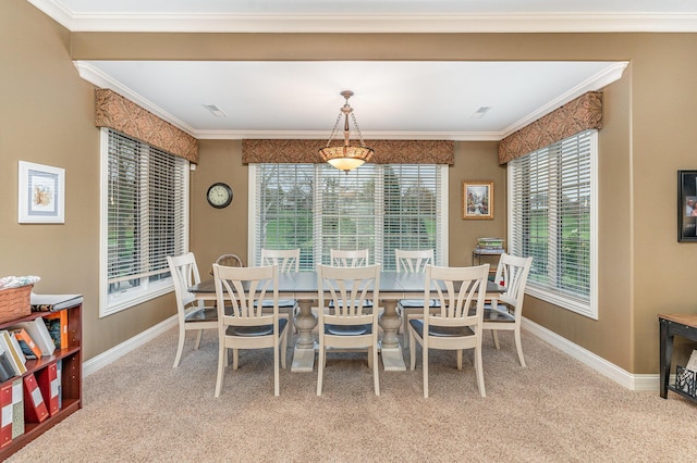 carpeted dining room with crown molding and baseboards