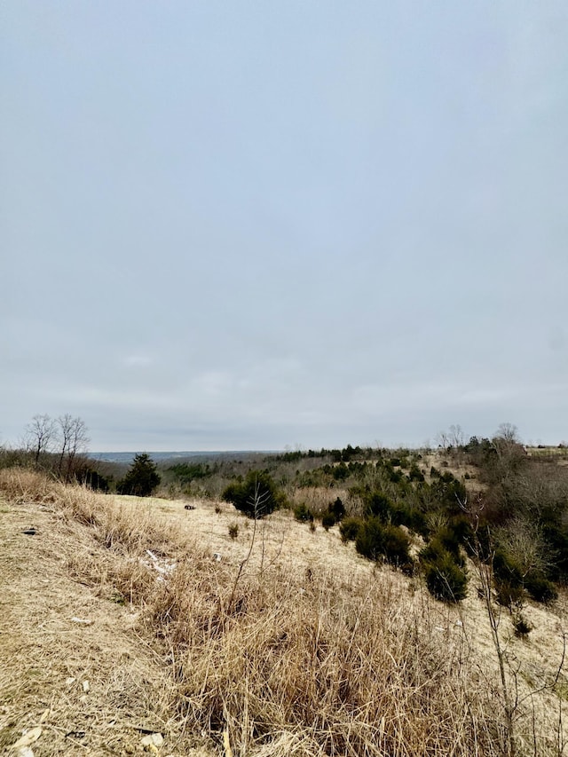 view of local wilderness featuring a rural view