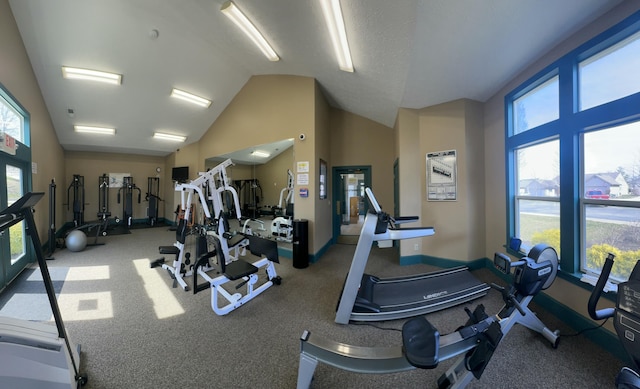 gym featuring lofted ceiling and baseboards