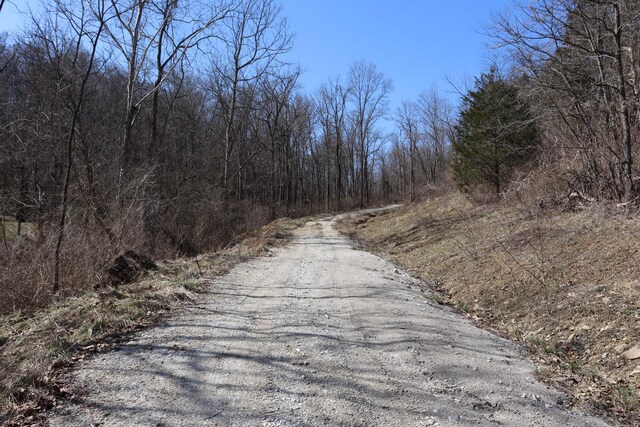 view of street with a view of trees