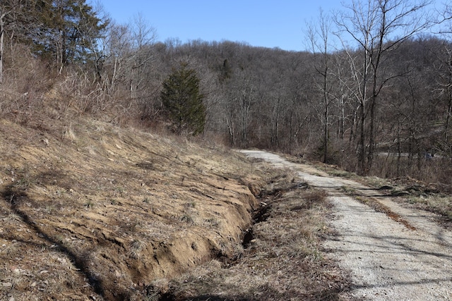 view of road with a wooded view