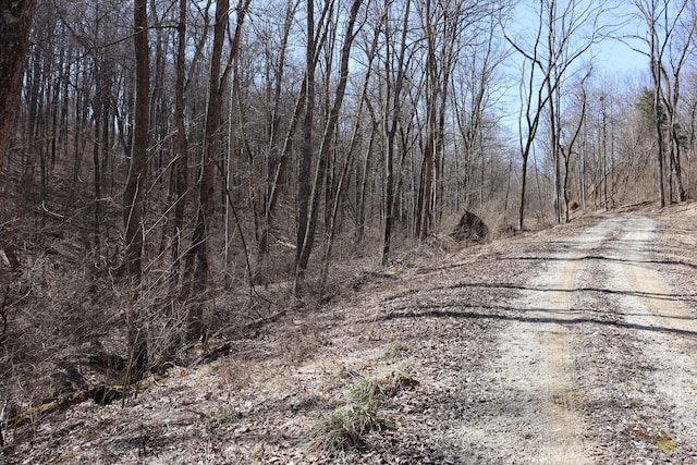 view of road with a view of trees