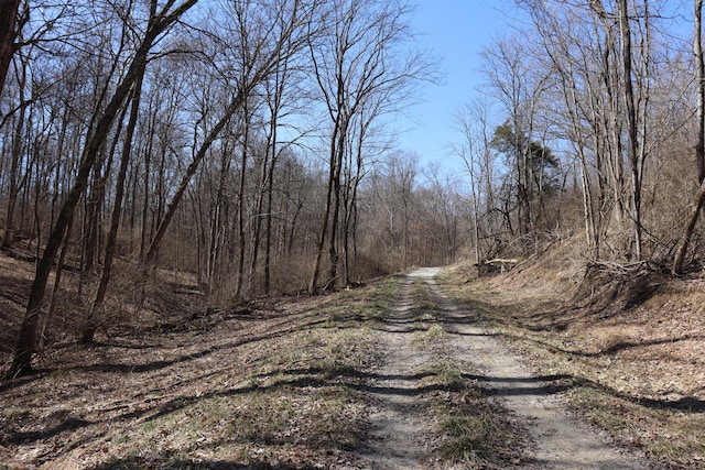 view of road with a view of trees