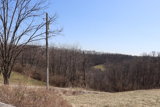 view of landscape with a forest view