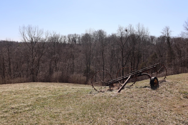 view of local wilderness featuring a forest view