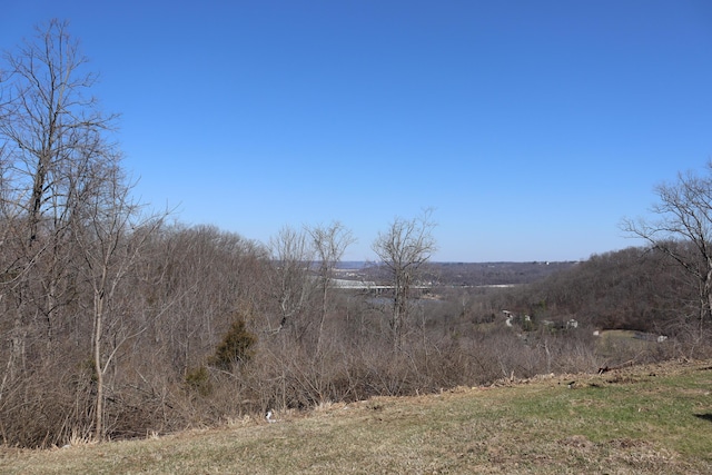 view of local wilderness