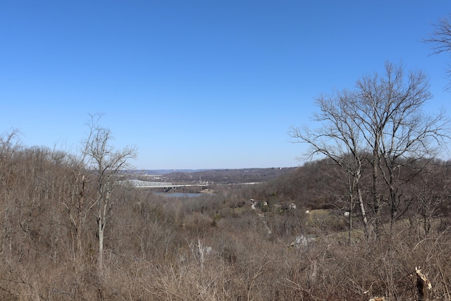 view of landscape featuring a water view