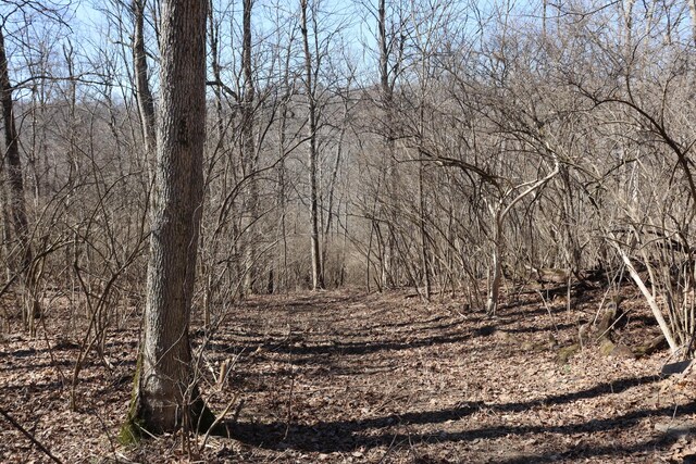 view of landscape