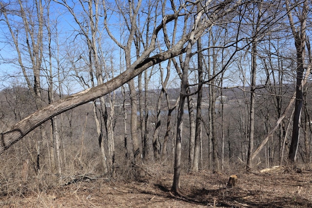 view of local wilderness