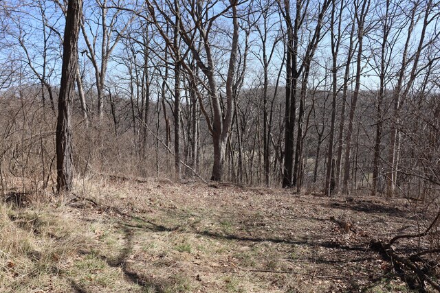 view of nature with a wooded view