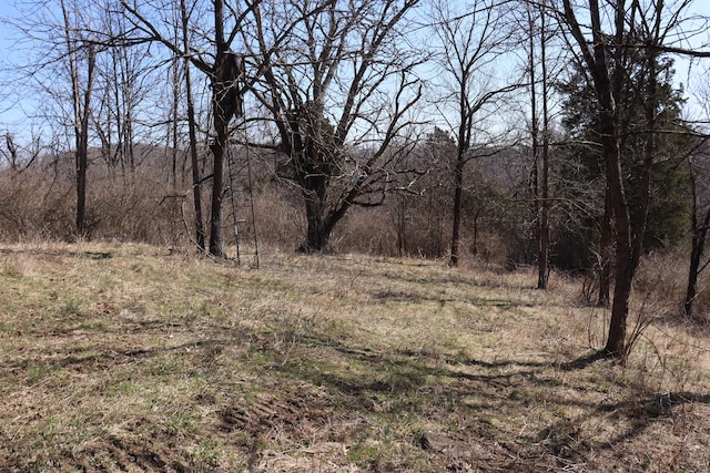 view of landscape