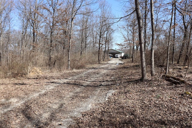 view of street featuring driveway