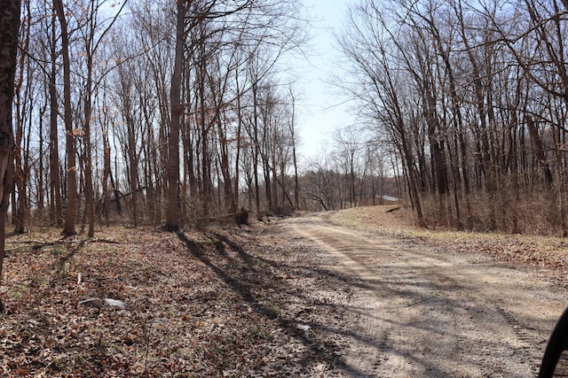 view of road