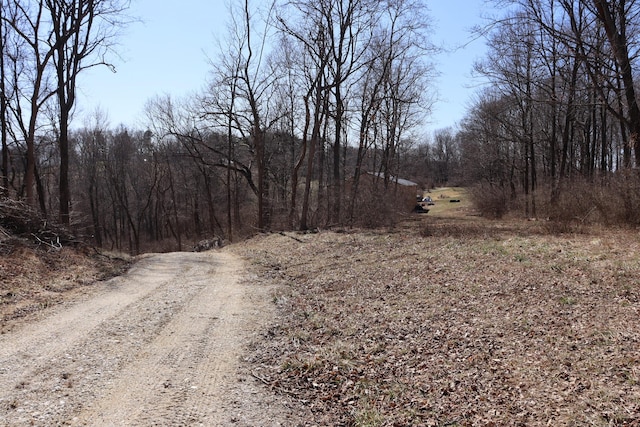 view of street with a view of trees