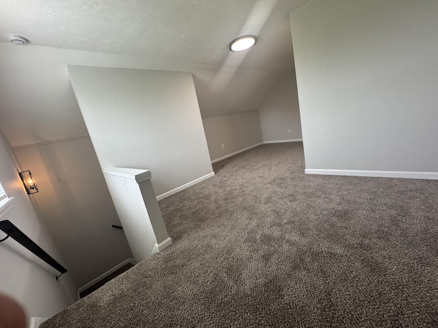 additional living space with carpet flooring, a textured ceiling, baseboards, and lofted ceiling