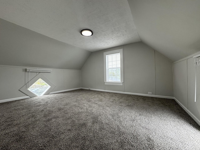 additional living space featuring lofted ceiling, a textured ceiling, baseboards, and carpet