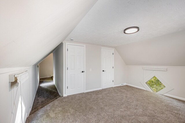 29 Race St, Dry Ridge, KY 41035 - bonus room featuring carpet floors, a textured ceiling, and lofted ceiling