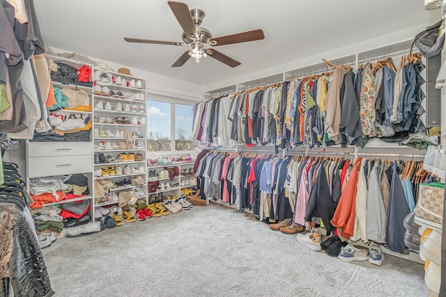 spacious closet with ceiling fan and carpet floors