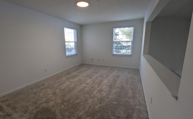 spare room with a textured ceiling, a healthy amount of sunlight, baseboards, and light carpet