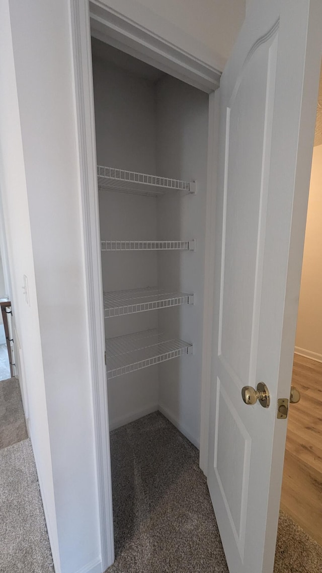 view of closet