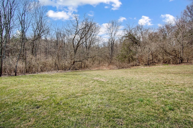 view of yard with a view of trees