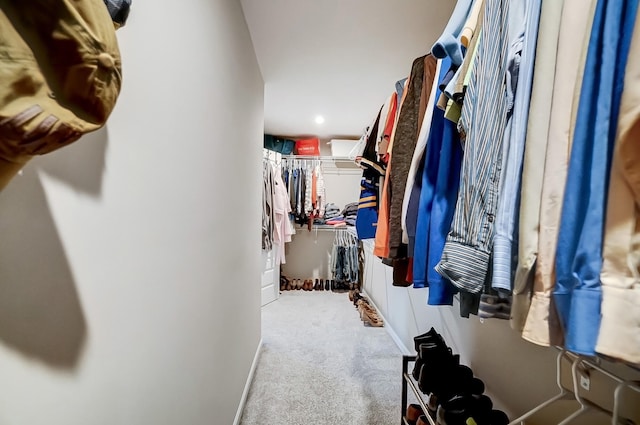 walk in closet featuring carpet floors