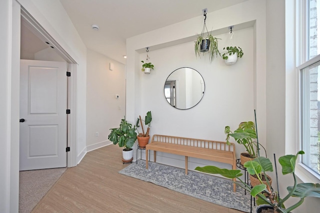 interior space featuring plenty of natural light, wood finished floors, and baseboards