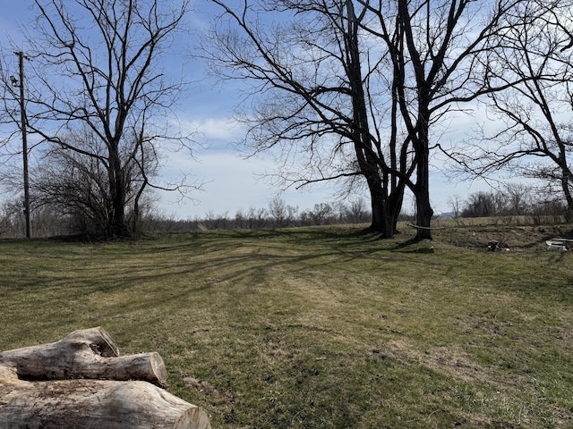 view of yard featuring a rural view