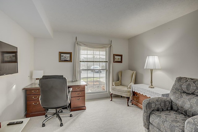 office with light colored carpet and a textured ceiling