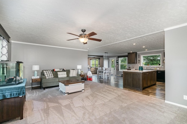 carpeted living room featuring a textured ceiling, crown molding, baseboards, and ceiling fan