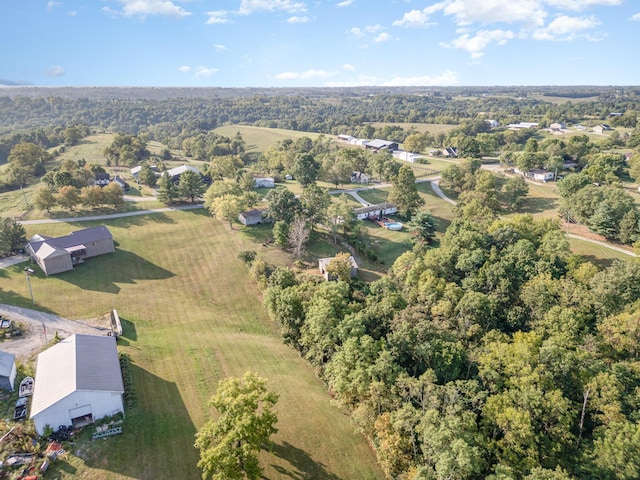 bird's eye view