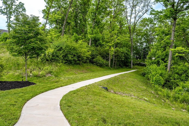 view of community featuring a lawn