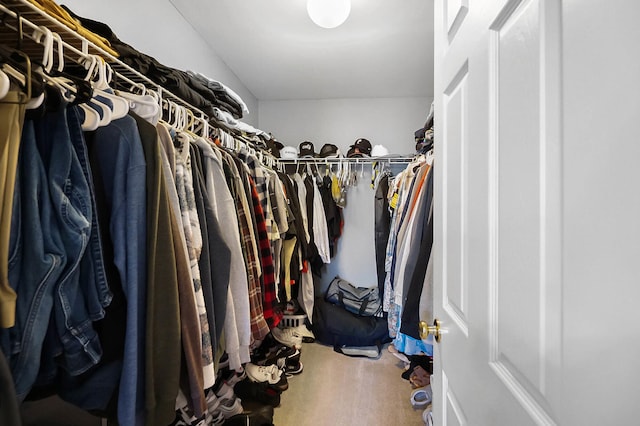 view of spacious closet