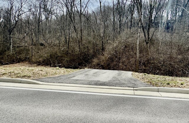 1915 Bromley Crescent Springs Rd, Fort Mitchell, KY 41017 - photo 3