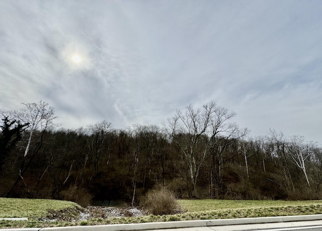 1915 Bromley Crescent Springs Rd, Fort Mitchell, KY 41017 - photo 4