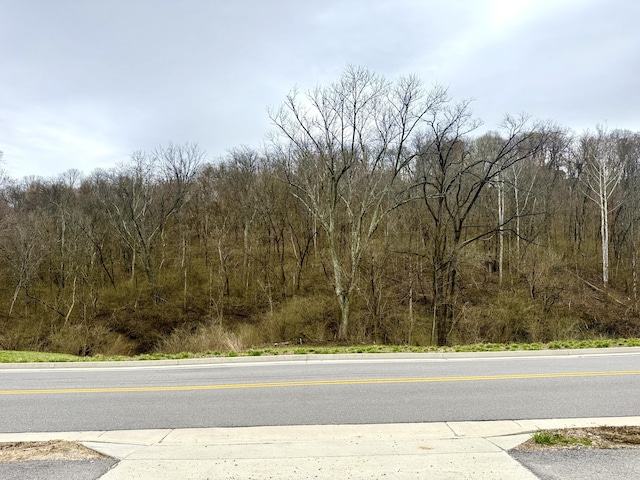 1915 Bromley Crescent Springs Rd, Fort Mitchell, KY 41017 - photo 5