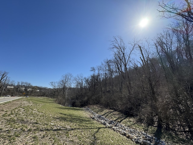 1915 Bromley Crescent Springs Rd, Fort Mitchell, KY 41017 - photo 15