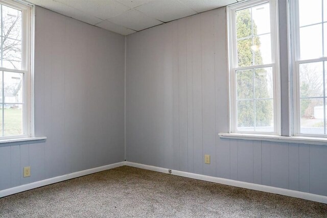 carpeted empty room with baseboards and a drop ceiling