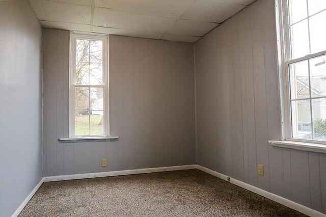 carpeted empty room featuring a wealth of natural light, a paneled ceiling, and baseboards