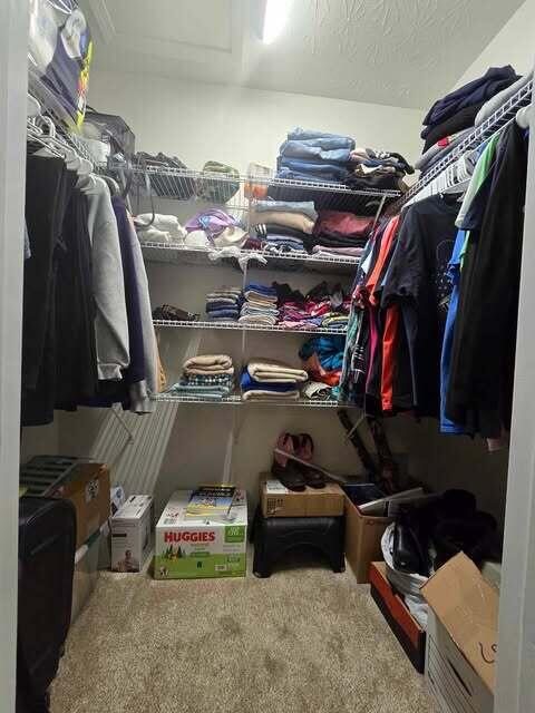 125 Smith Ave, Warsaw, KY 41095 - walk in closet with carpet floors