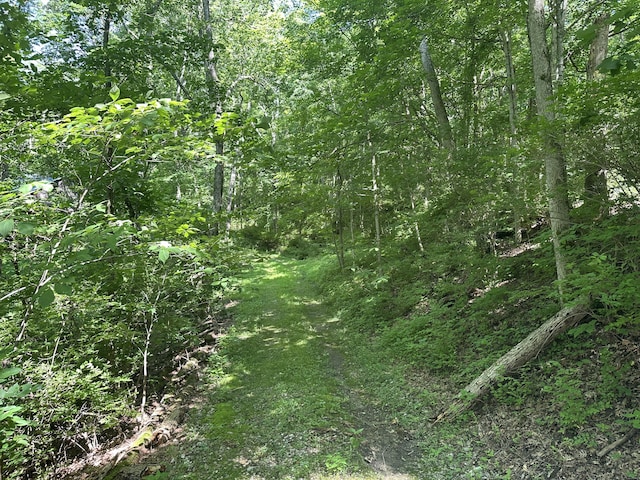 4695 Rabbit Hash Rd, Union, KY 41091
