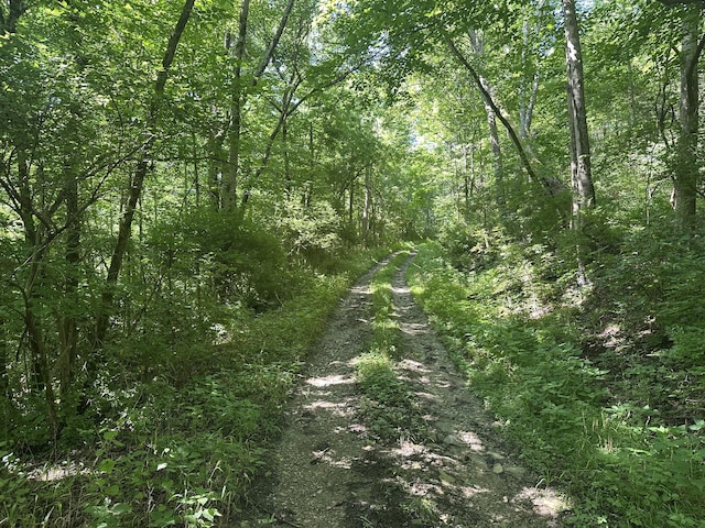4695 Rabbit Hash Rd, Union, KY 41091